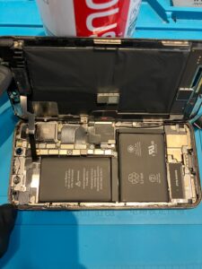 iPhoneX