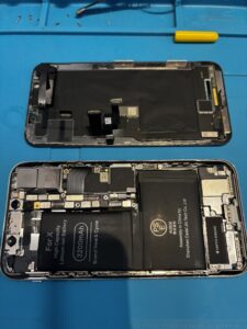 iPhoneX